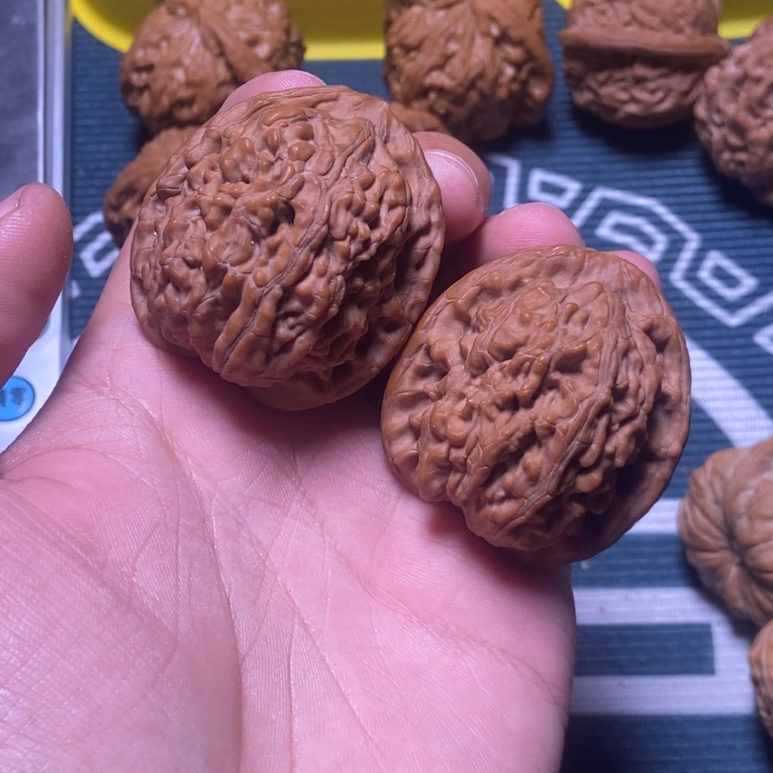  ***p40尺修尖蚂蚁王白茬