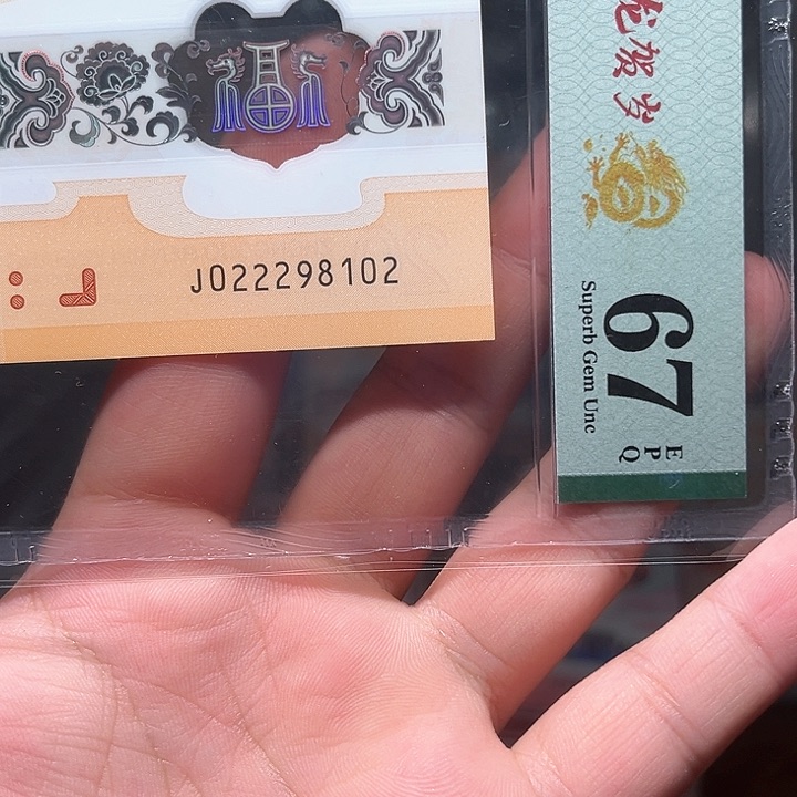 塑料龙钞啊啊啊啊啊啊啊啊