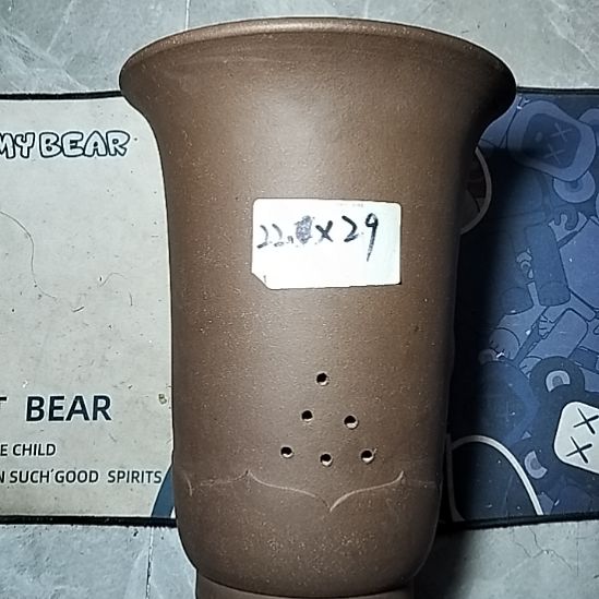 莲花金钟一个花盆