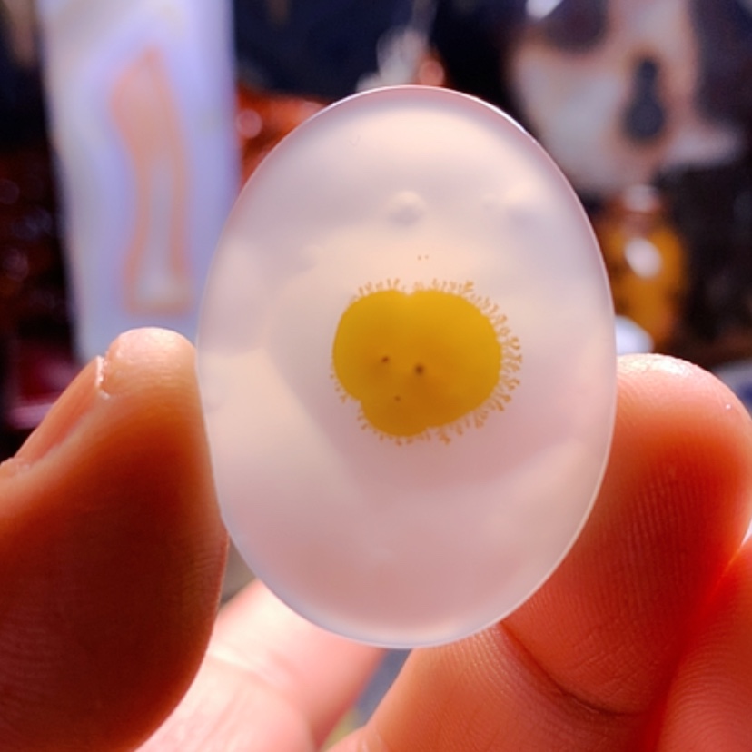 【闪购商品】玛瑙/玉髓颈饰未镶嵌