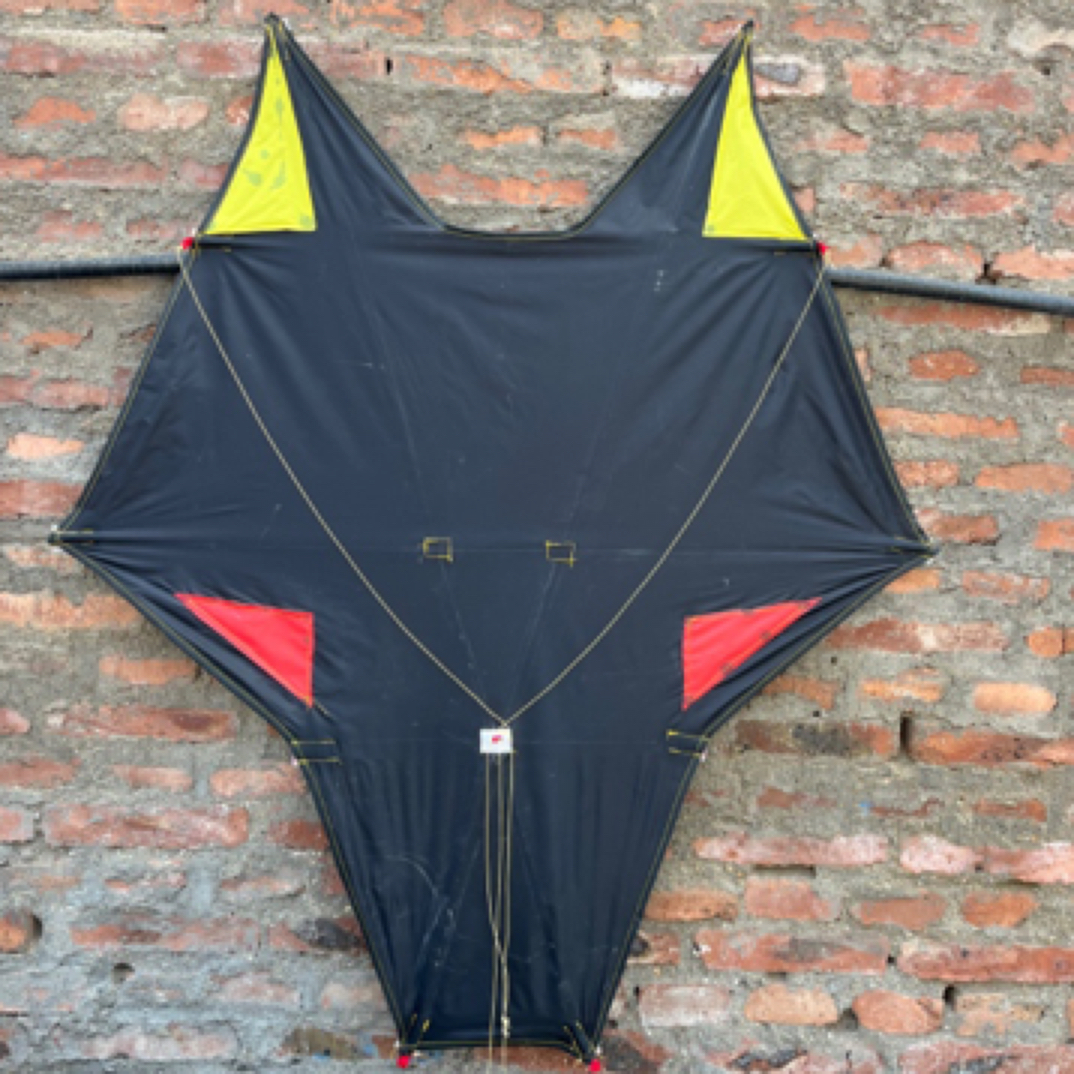 大型伞布狼头图腾八卦风筝成人专用抗风易飞专业高档风筝