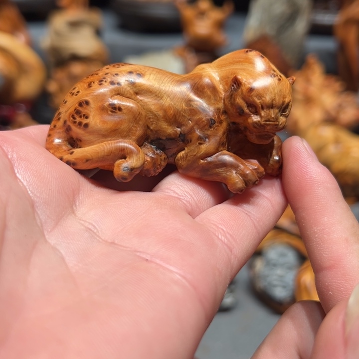 柏木（崖柏）点点关注