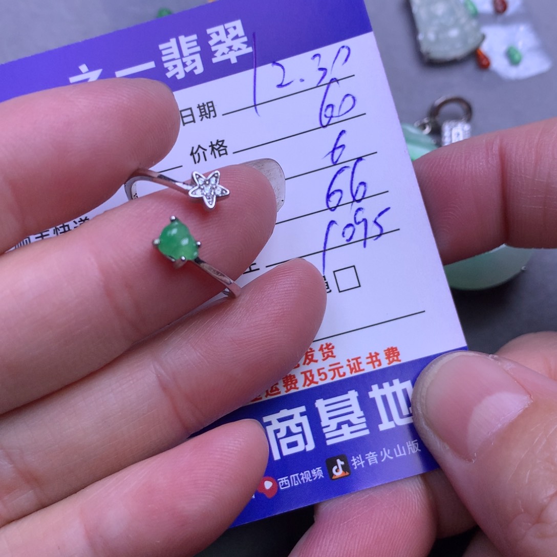 颈饰银S925镶嵌翡翠L***?