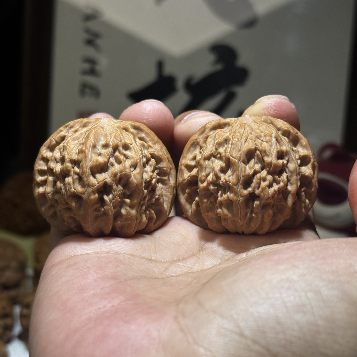 42尺寸山地磨盘核桃