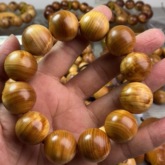 柏木（崖柏）崖柏2.0