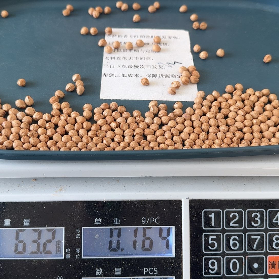 柏香籽/百香籽吊坠6.25+63克385颗左右MY02