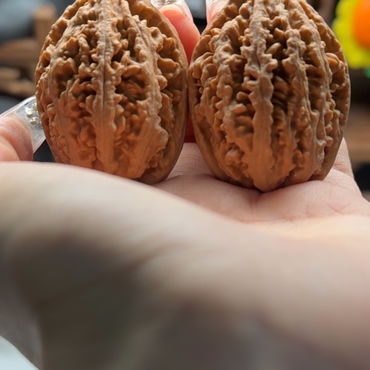 文玩核桃把件关东木子楸百核93