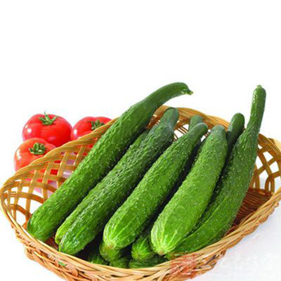 水黄瓜约1斤 约1斤黄瓜同城送黄瓜同城配