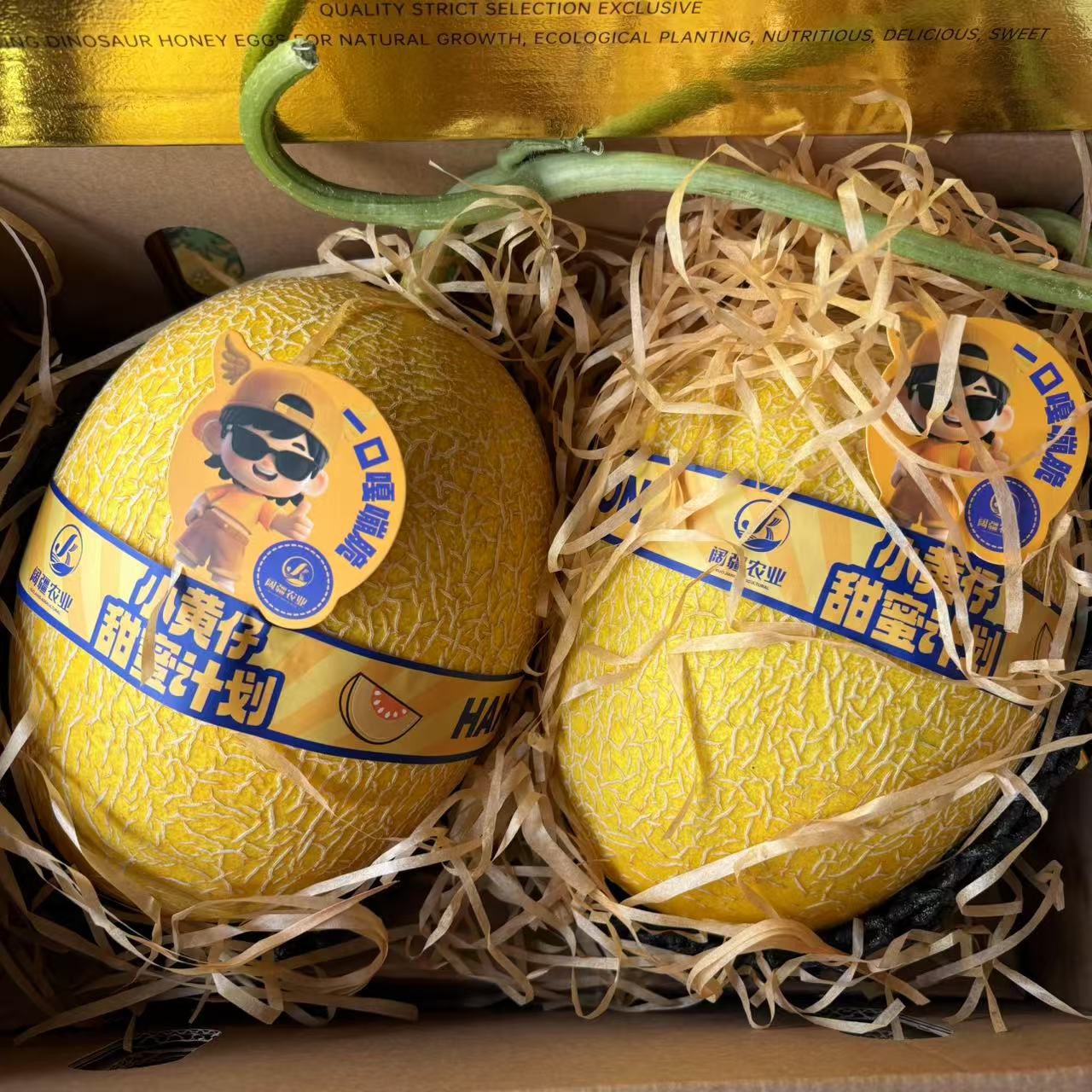 【恐龙蜜蛋】黄金蜜瓜 脆甜可口 2颗大瓜装