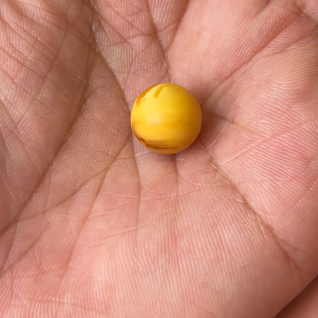 未镶嵌蜜蜡吊坠(不含链)墨**衣