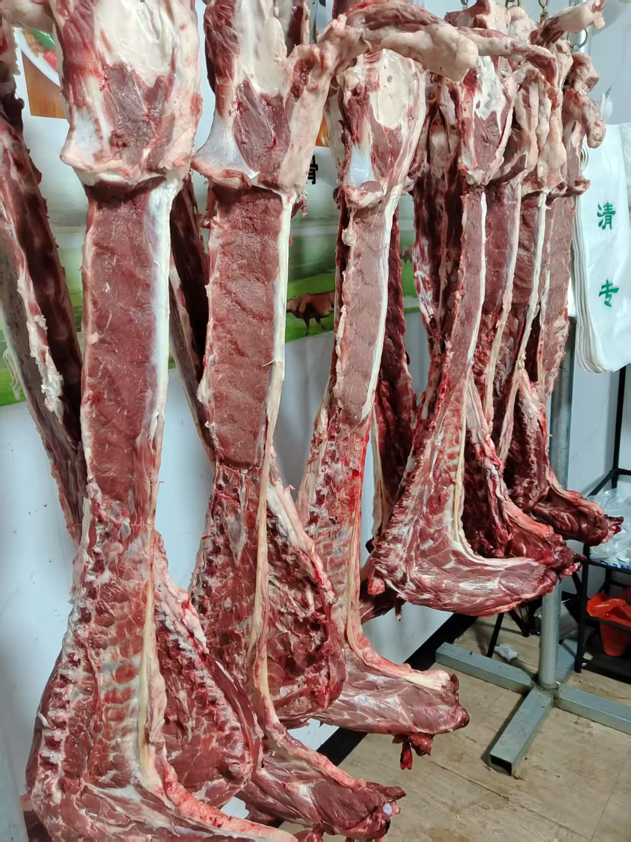 纯鲜羔羊羊蝎子速冻发货