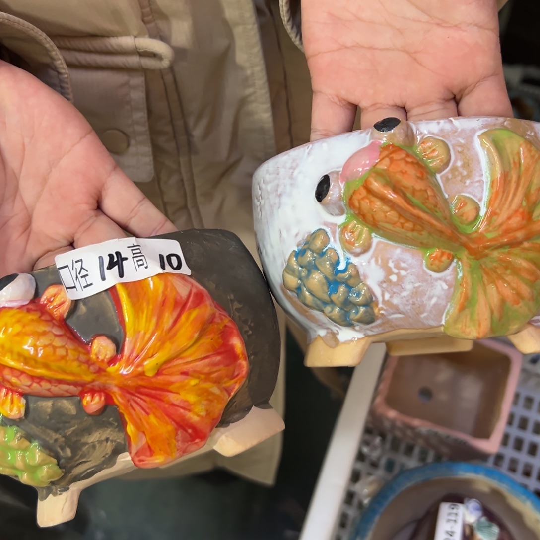 花盆满20发货，爱退款拉黑