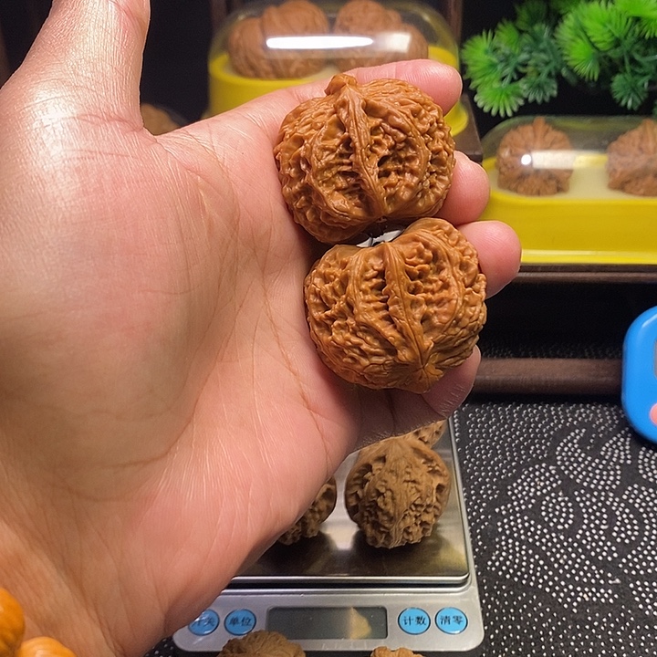 银S925白狮子半壁43有修