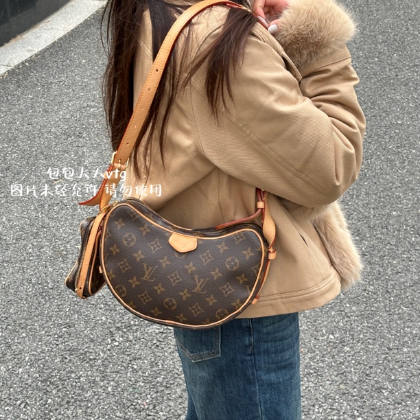 95新 LouisVuitton/路易威登 （新款在售）子母豌豆单肩包
