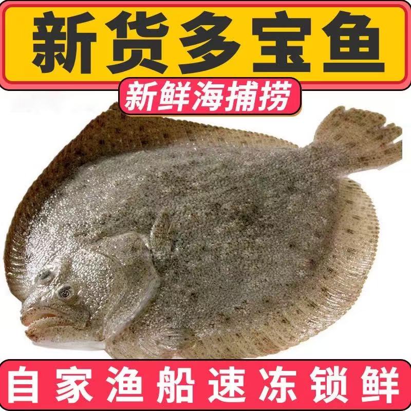 深海海捕多宝鱼急速冷冻锁鲜到手8条