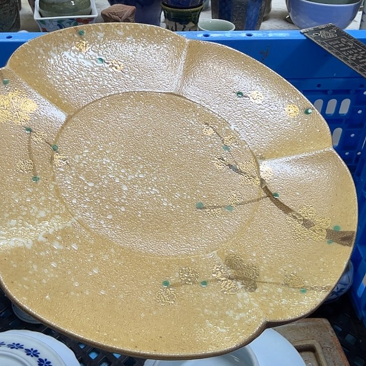瓷片火*儿开播啦…开播啦