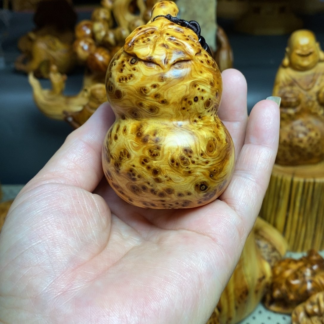 柏木（崖柏）太行山上