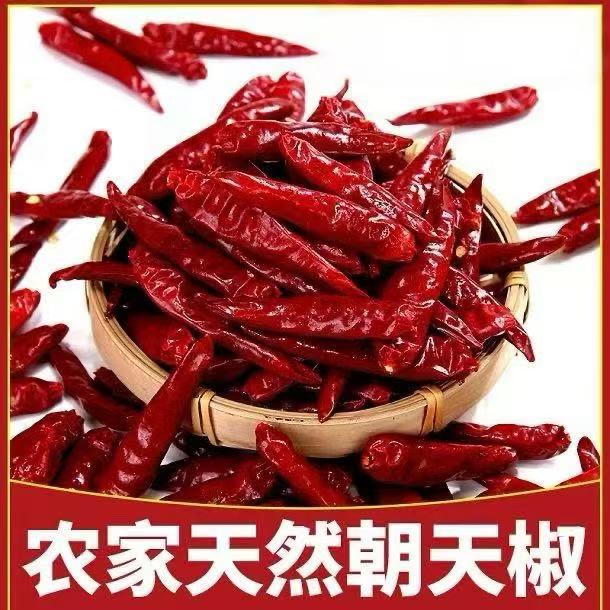 甘肃靖远碱地干辣椒朝天椒自然晒干