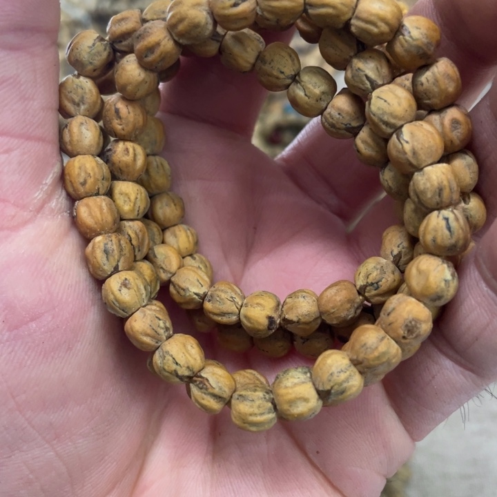 吊坠柏香籽/百香籽