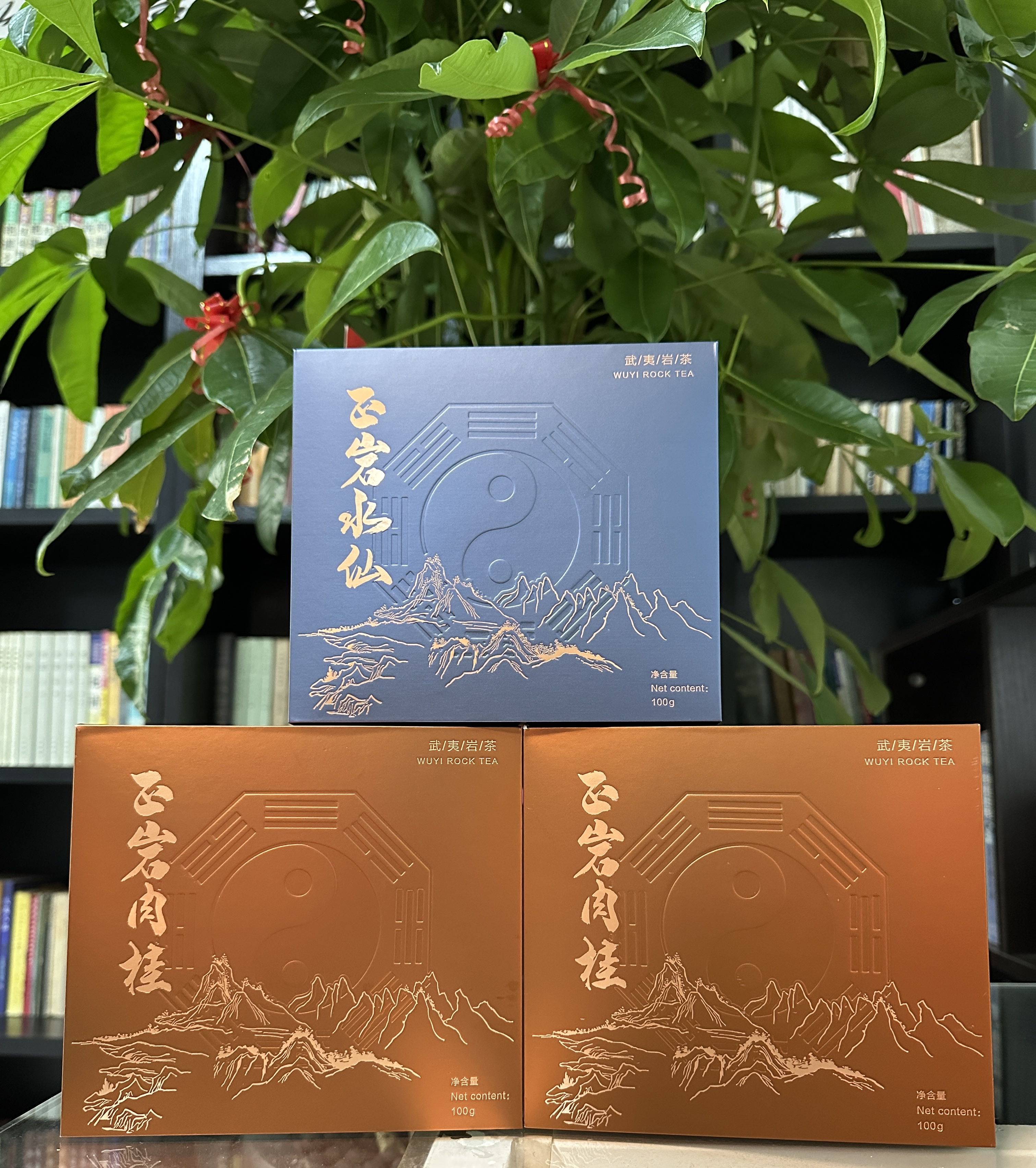 上等特级武夷岩茶两盒正岩肉桂一盒正岩水仙岩茶礼包