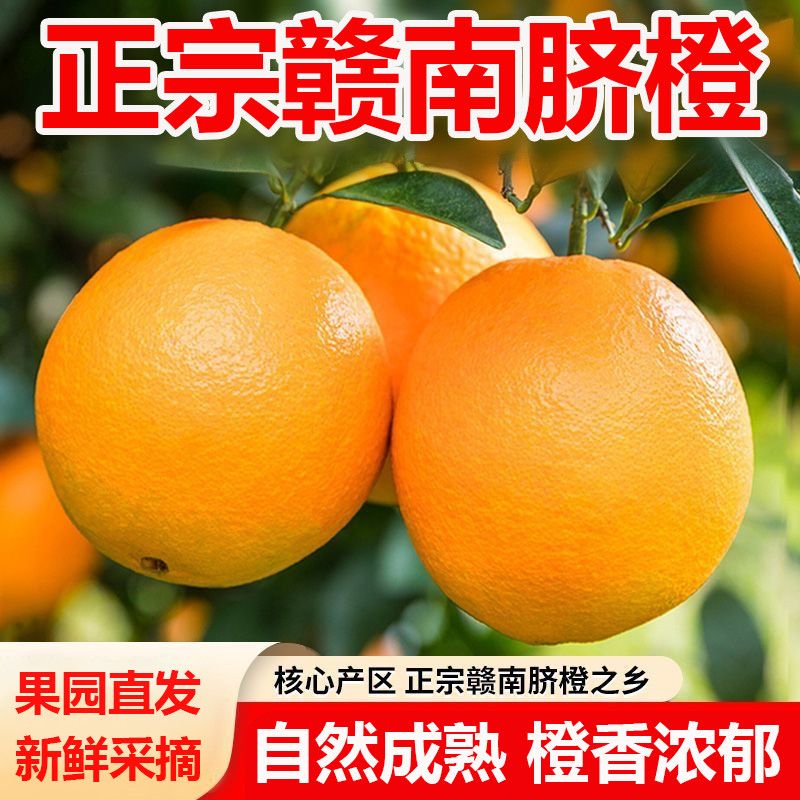 【次日达】正宗赣州脐橙新鲜采摘应季水果香甜爆汁甜橙5斤/10斤产地直发赣南脐橙江西省
