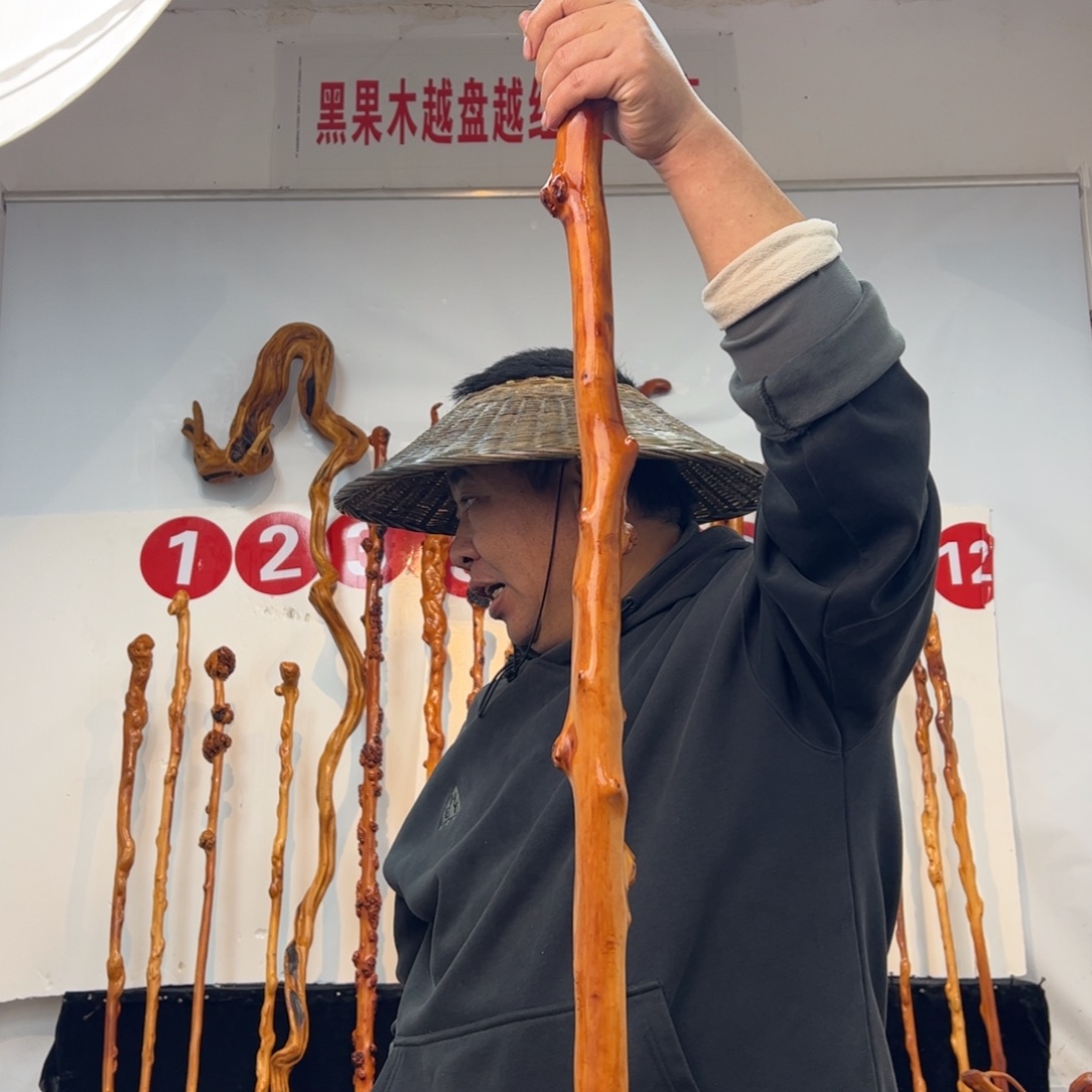 小***儿黑果木其他黑果木455