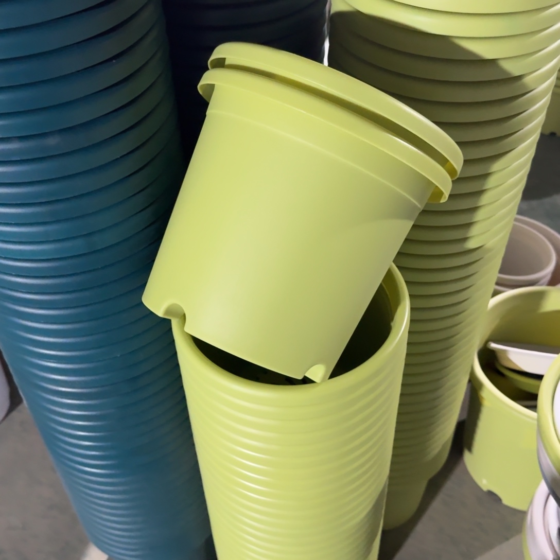 四季4号10个盆10个托果绿色的