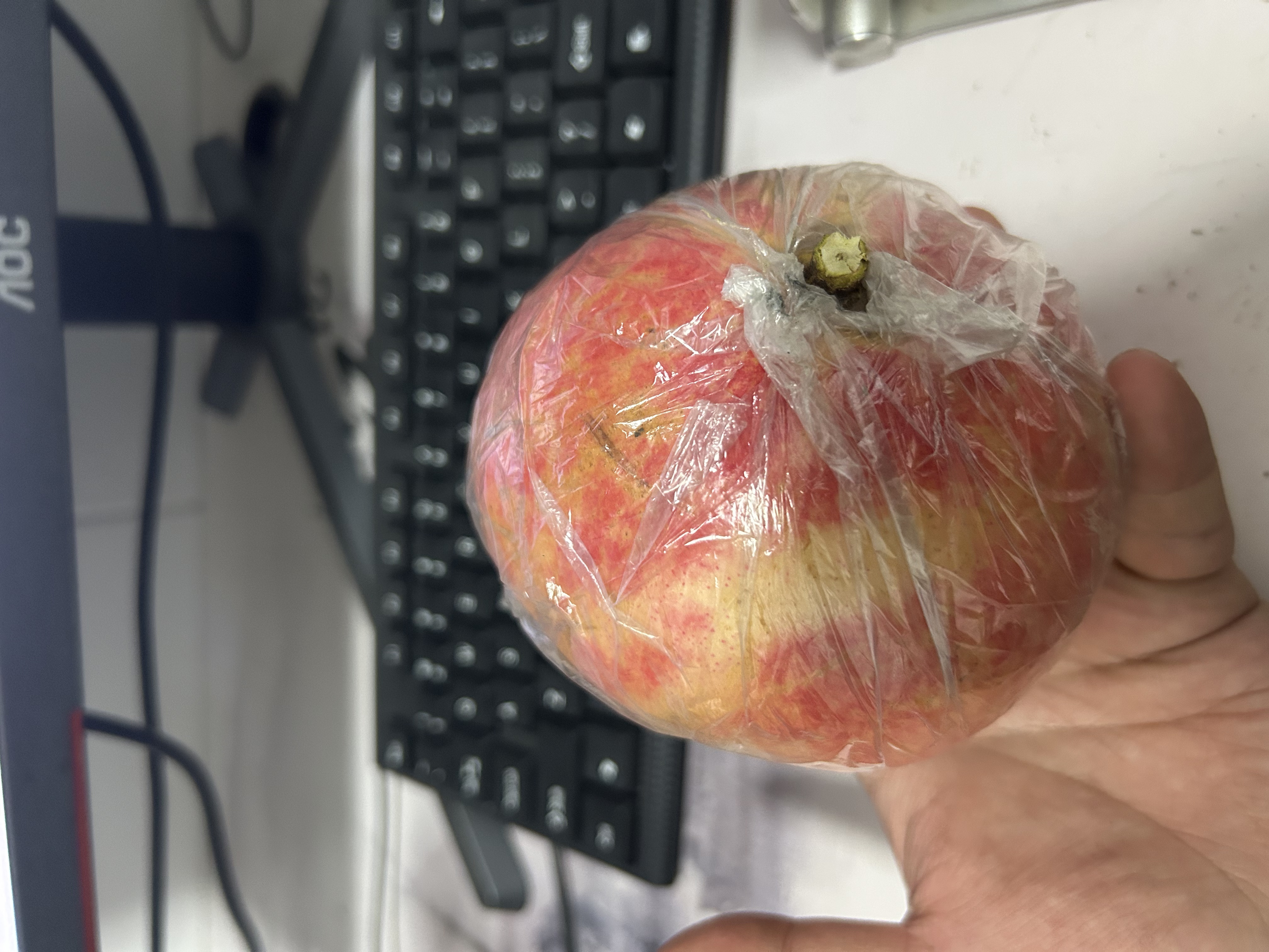 山西北派硬籽甜石榴