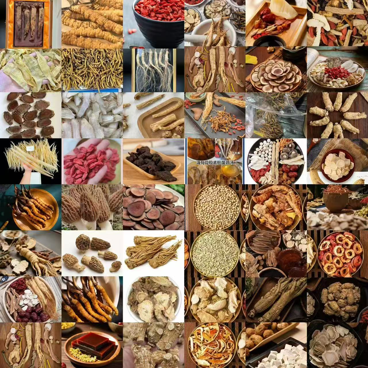 【大锤】 推--土--机--油 云南大山好物西洋参