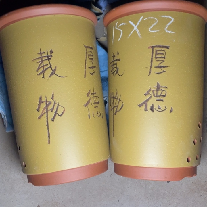 紫砂众所周知紫砂 