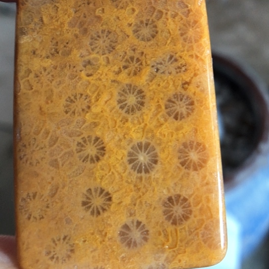 硅化玉吊坠未镶嵌