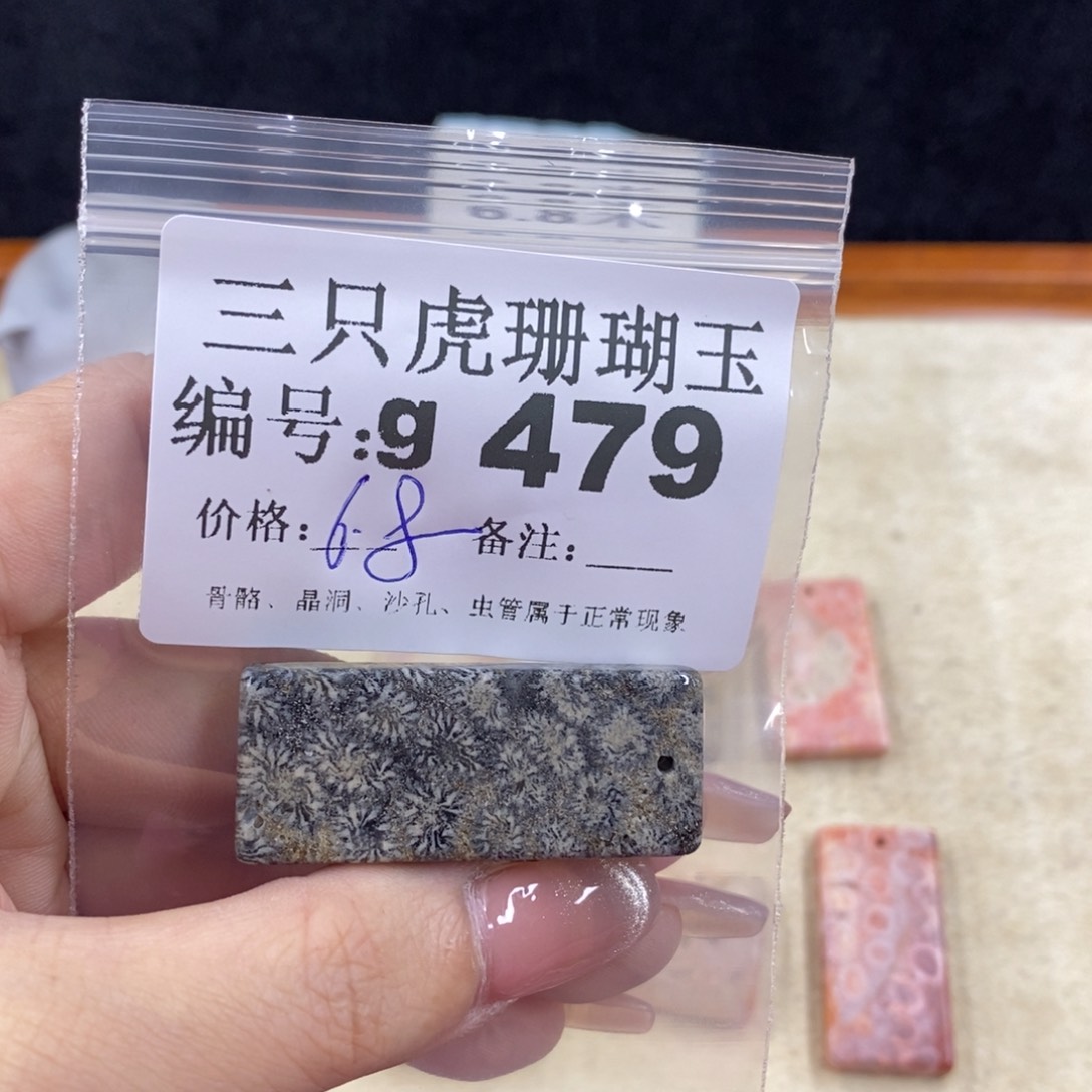 硅化珊瑚（珊瑚玉）未镶嵌1世*