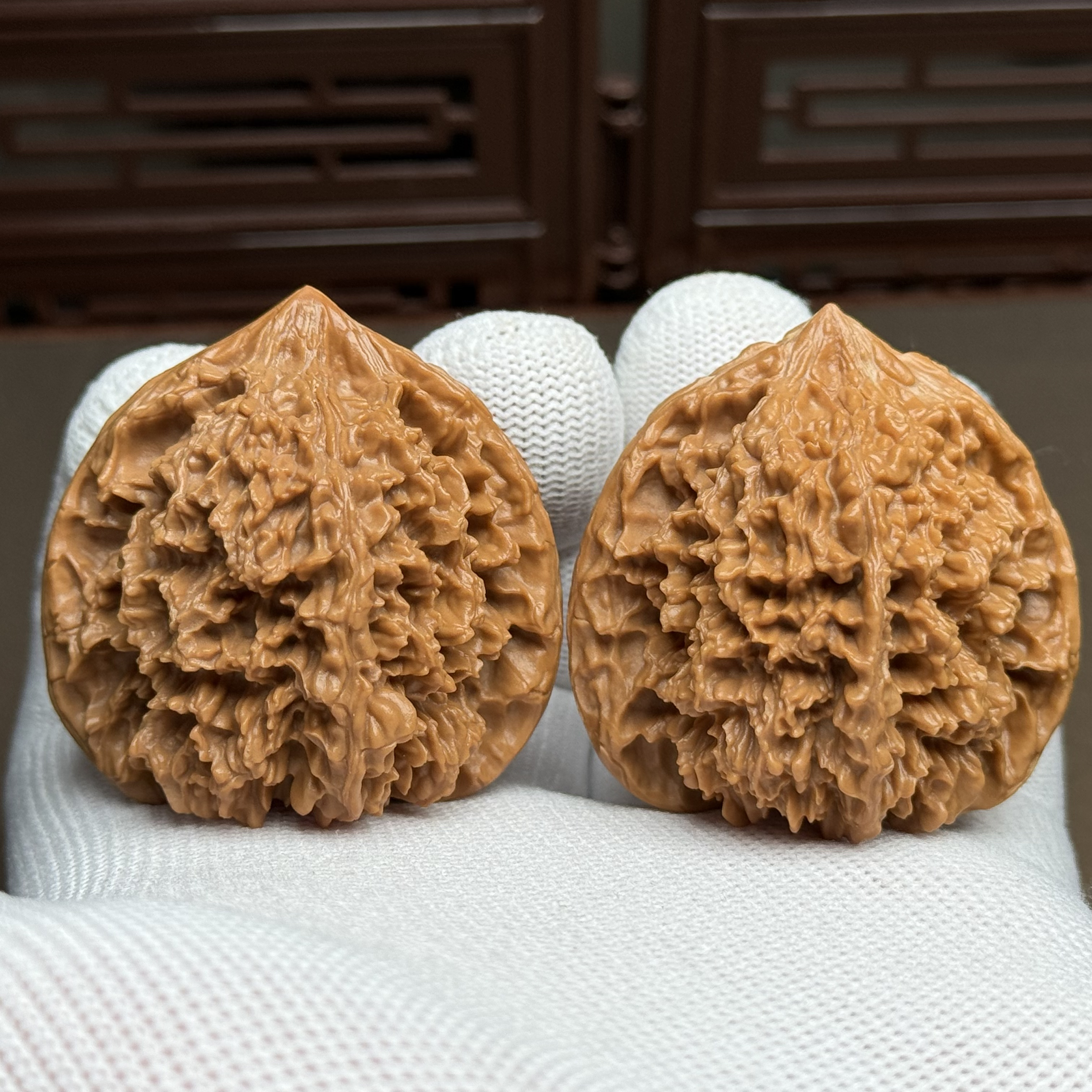 精选满天星狮子头，边43肚43高43，一代老树满天星，原桩无药无夹板