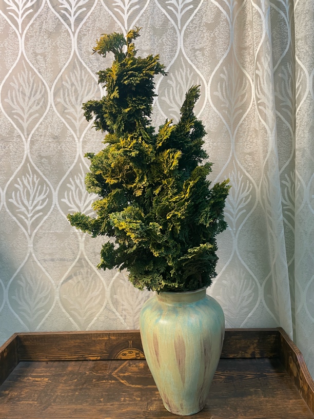 一物一拍  小众鲜花 云南昆明斗南发货