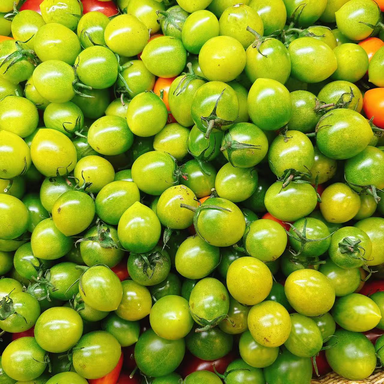 小柿子500g黑龙江省