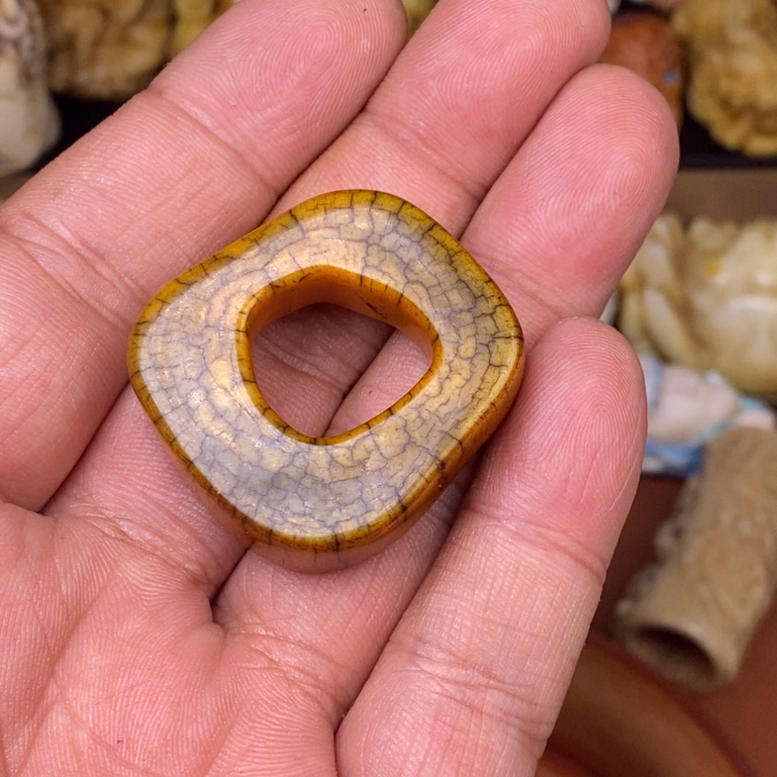 其他驼骨人工样子