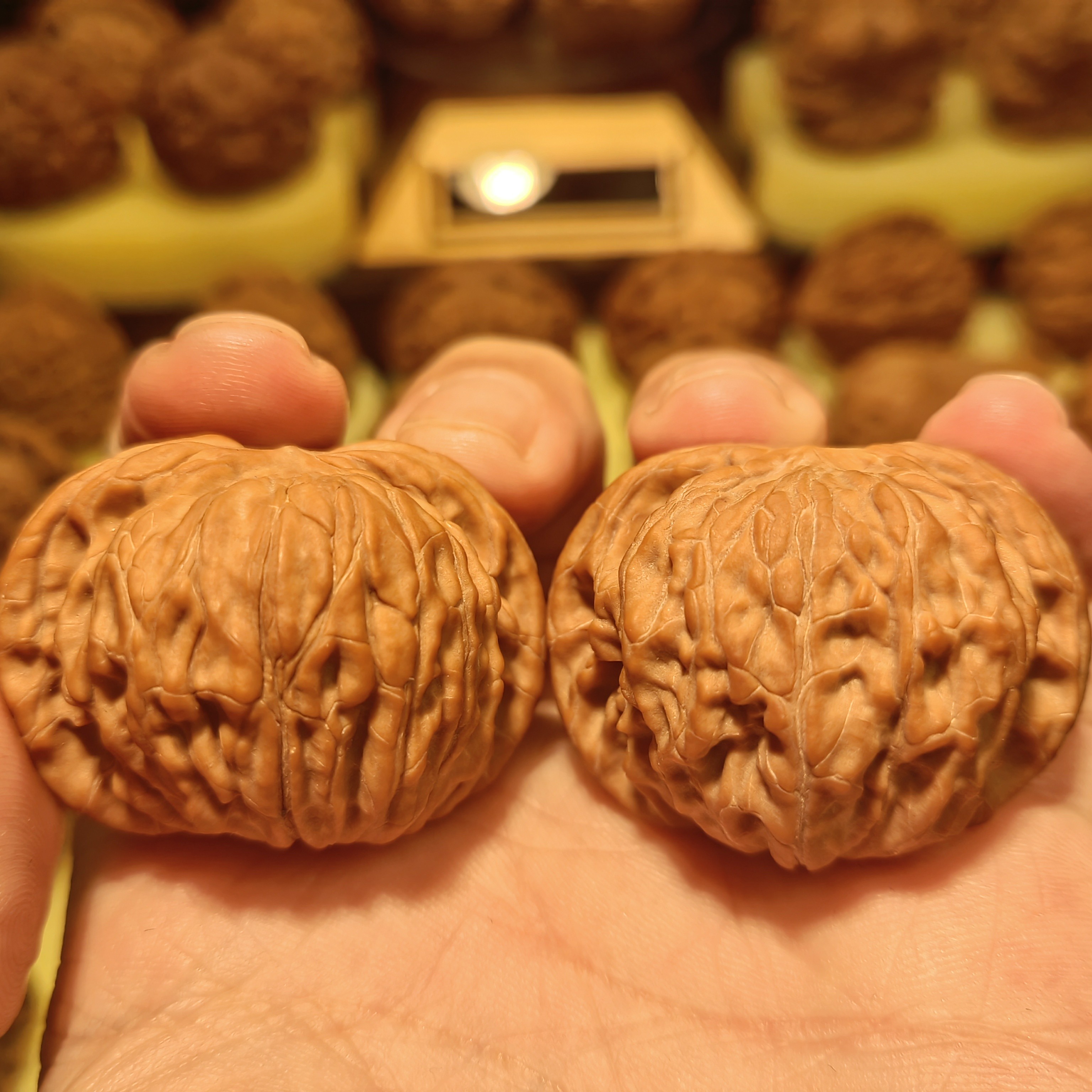 磨盘文玩核桃全品