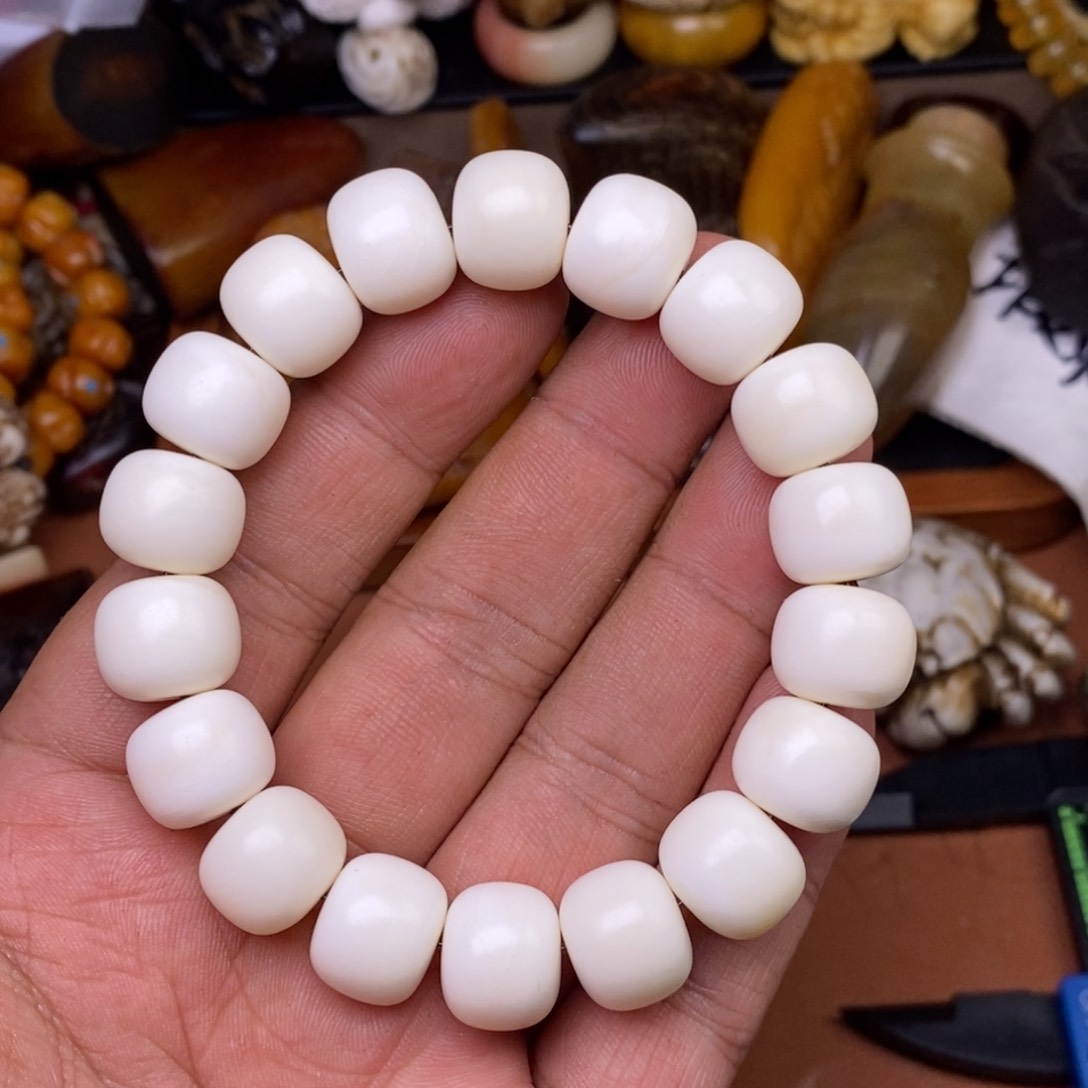 其他驼骨人工样子