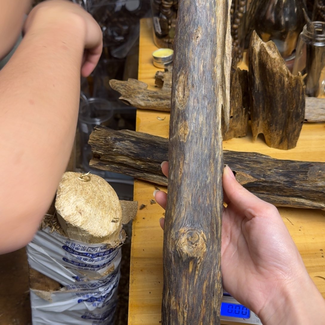 沉香手把件东江绿品种块料195克