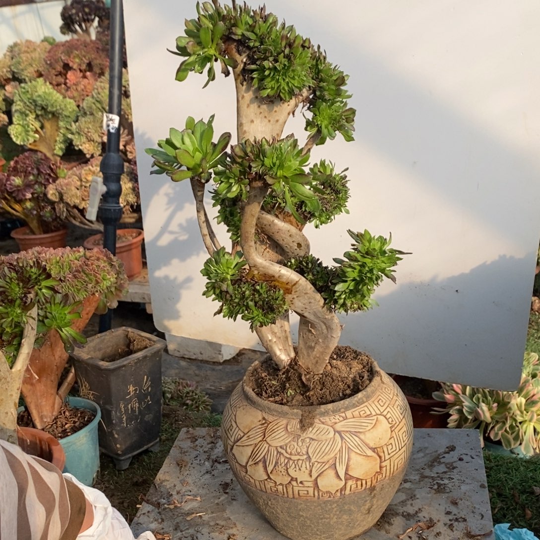 1718号黑法师缀化1颗