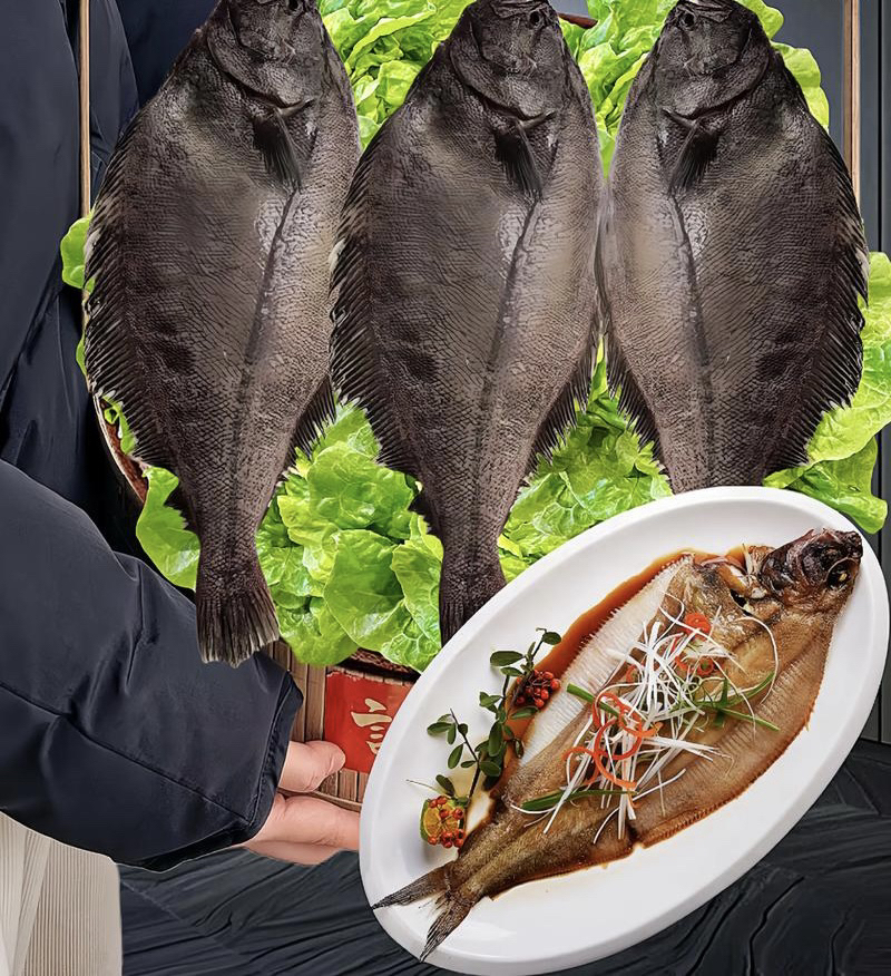 《油蝶鱼》纯进口原浆 肉质鲜美 真正无冰衣