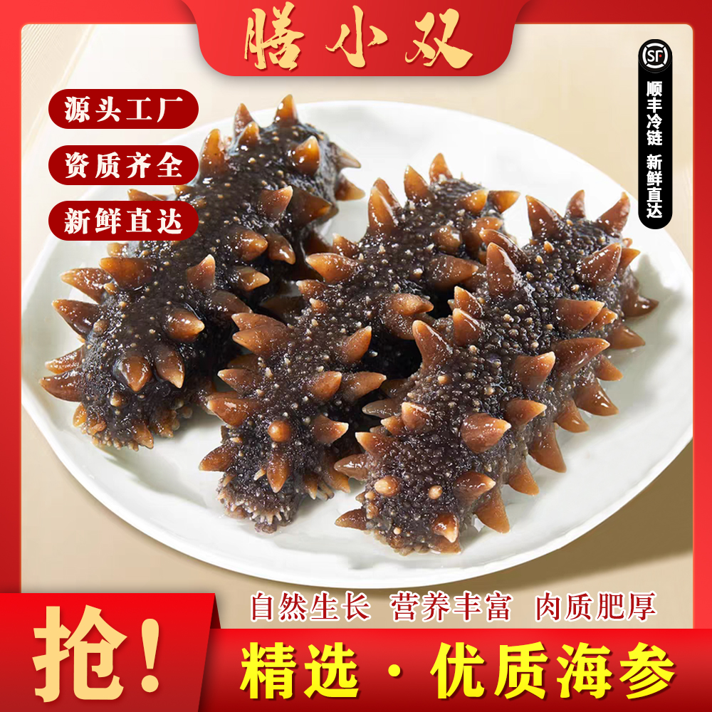 大连鲜食海参王6头即食