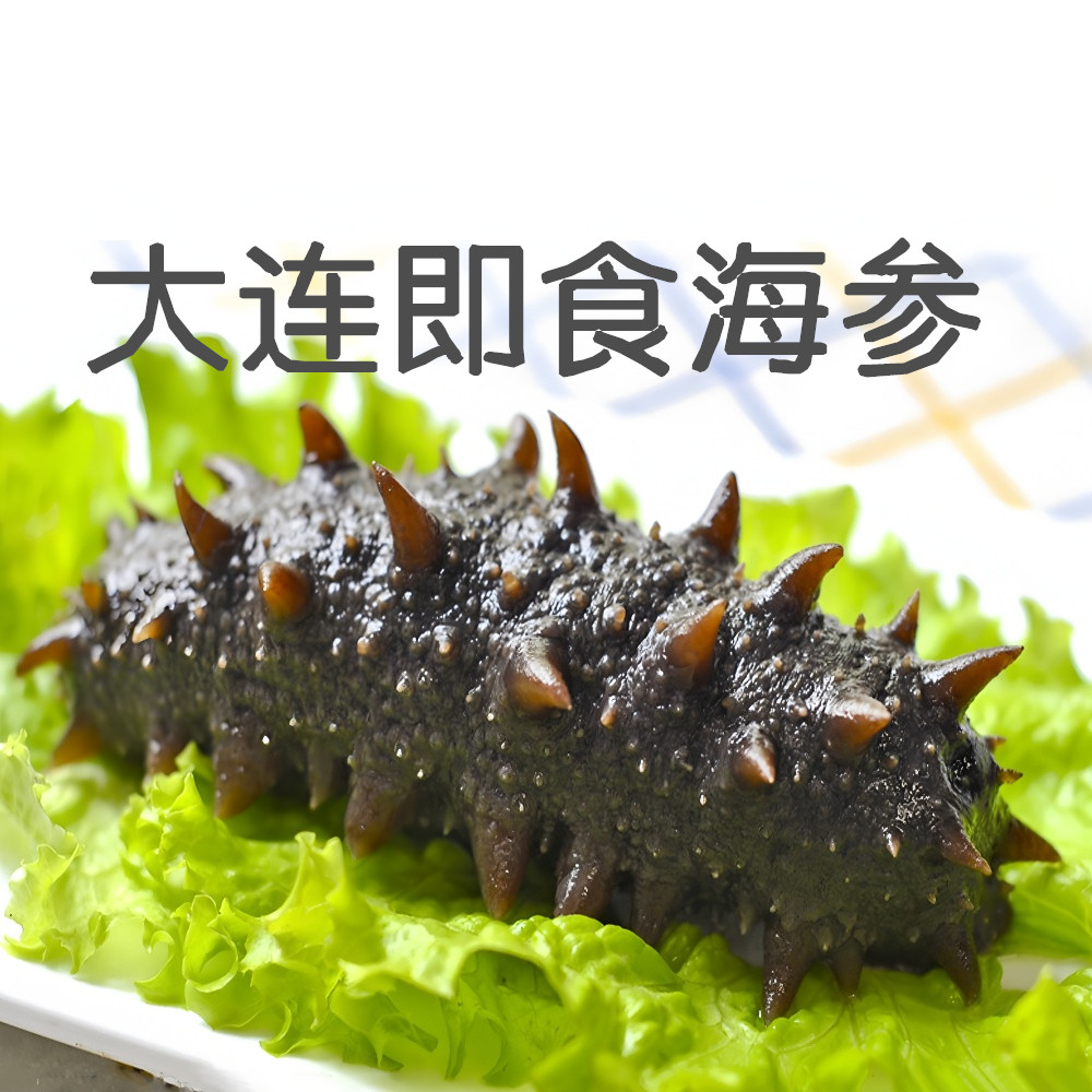 高口感鲜蒸辽参8AAAA