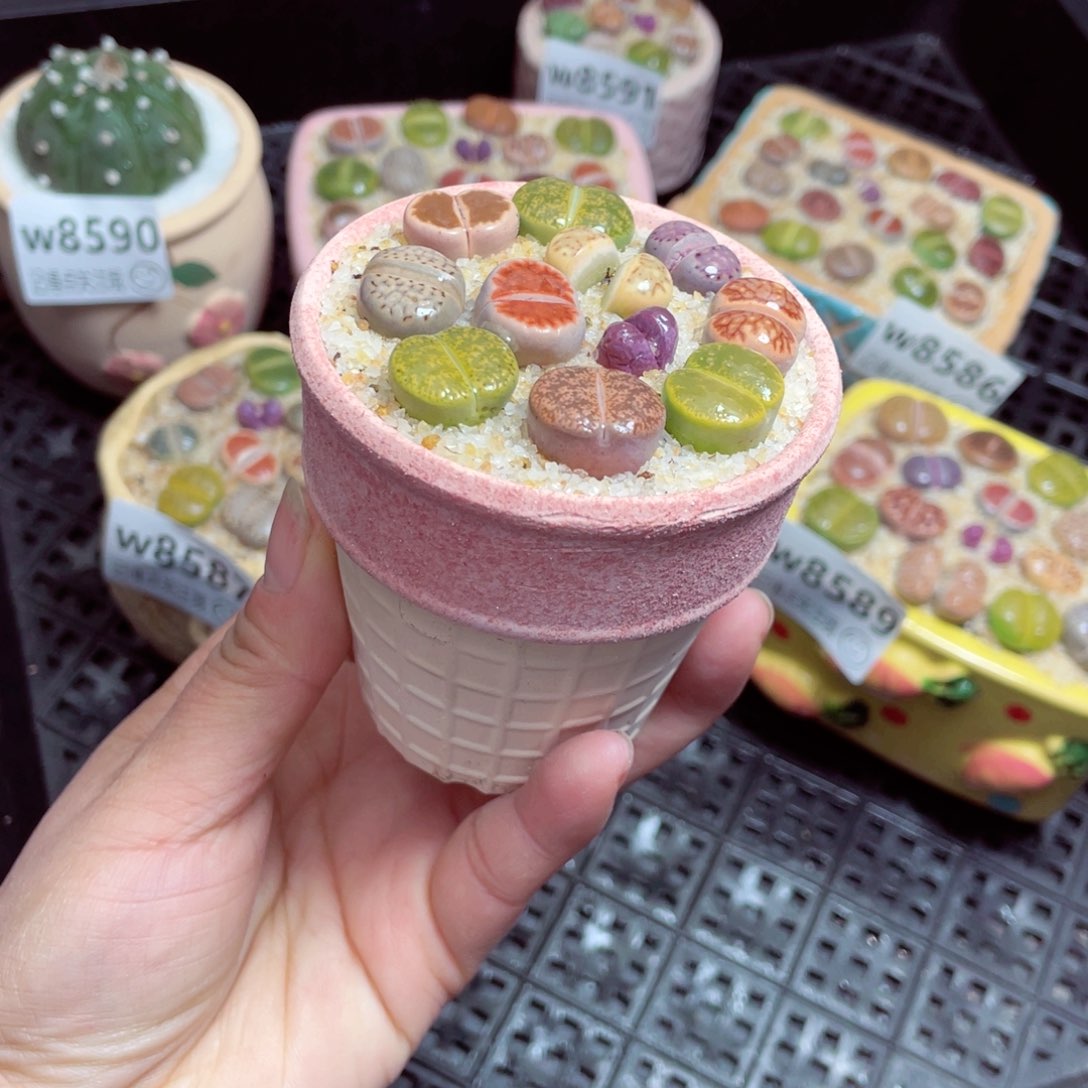 w8592 零下地区拍保温箱-15支持寄养