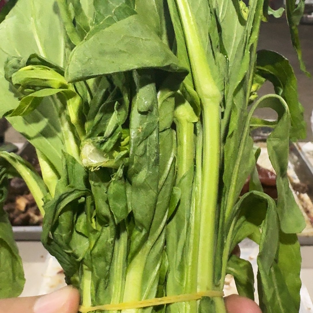 L***a白菜中国大陆青菜
