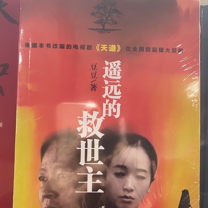 遥远的救世主全新一本