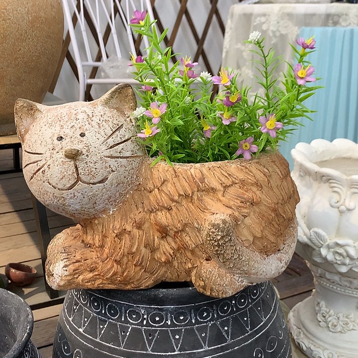 红陶高20长26口12.5