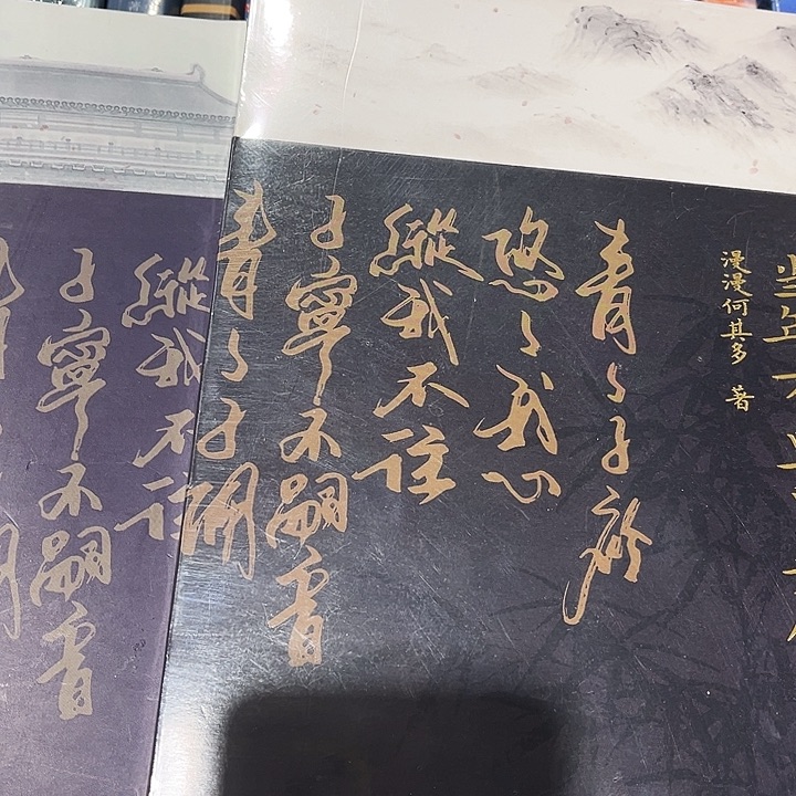 当年万里觅封侯全新全套两本带周边