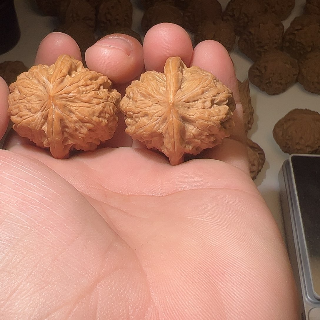 国***典文玩核桃把件文玩