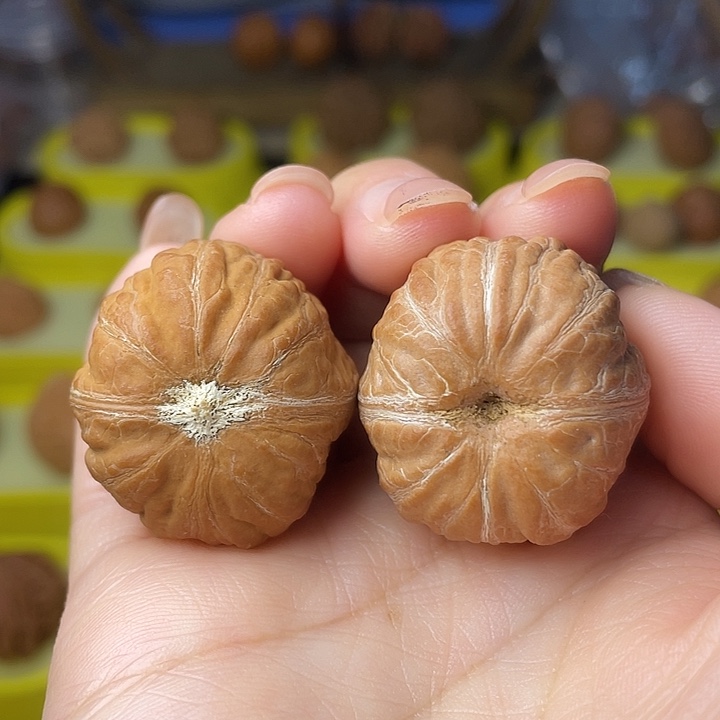 吊坠文玩核桃树皮纹